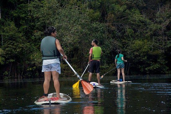 grupo-de-remadores-amadores